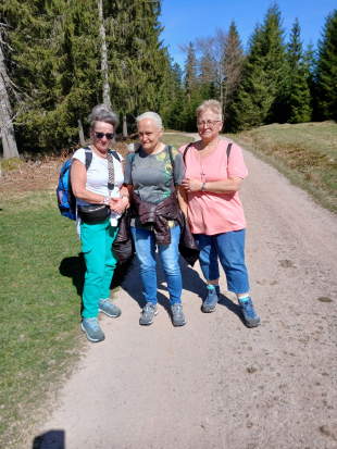 Wanderung mit Übernachtung, 
Hochmoor Kaltenbronn,
12. April 2025